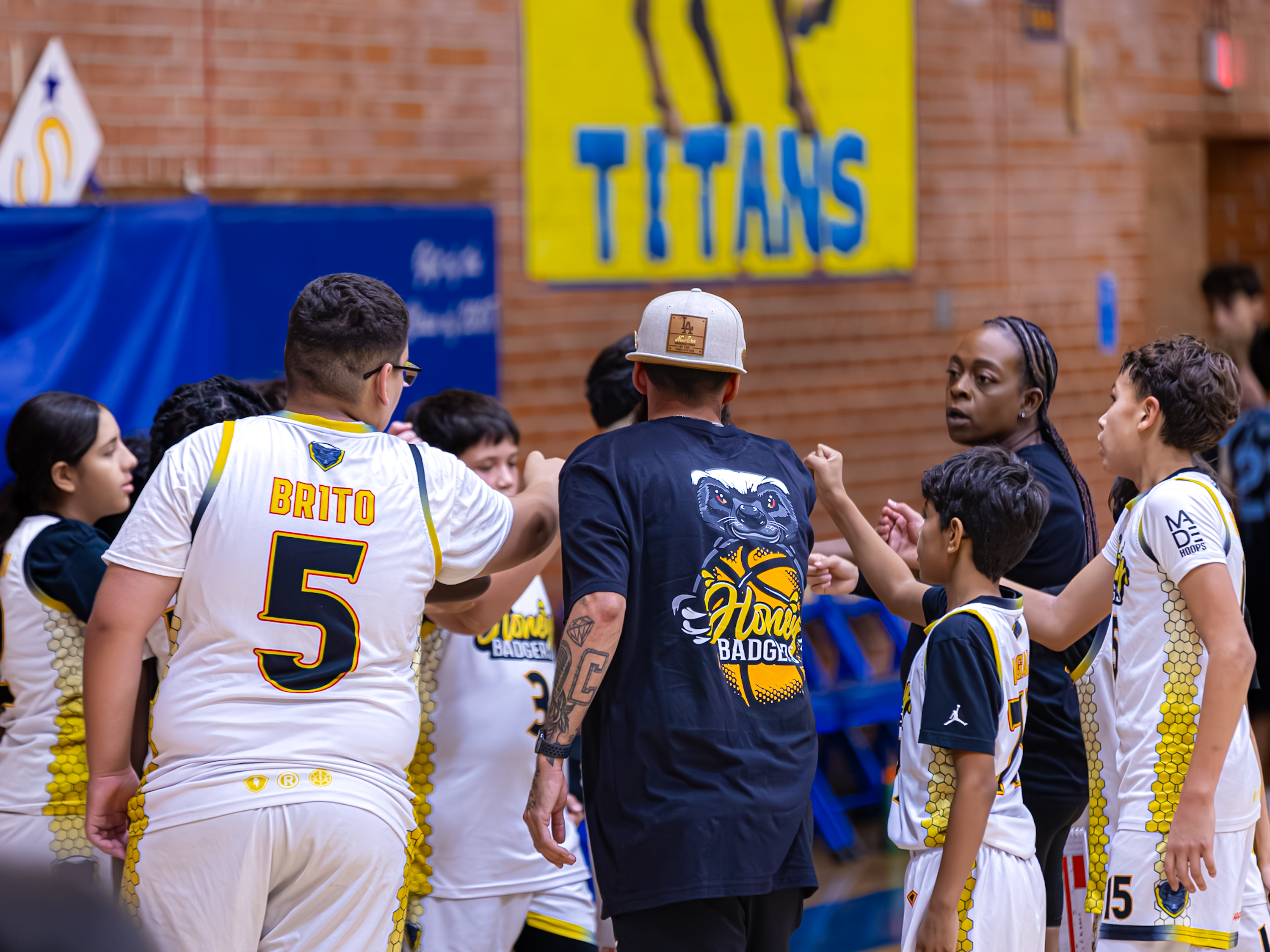 Honey Badgers action